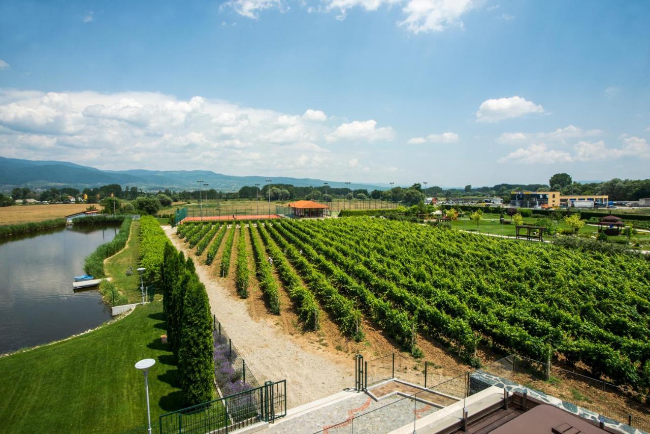 Uva Nestum Wine & Spa Гоце-Делчев Экстерьер фото