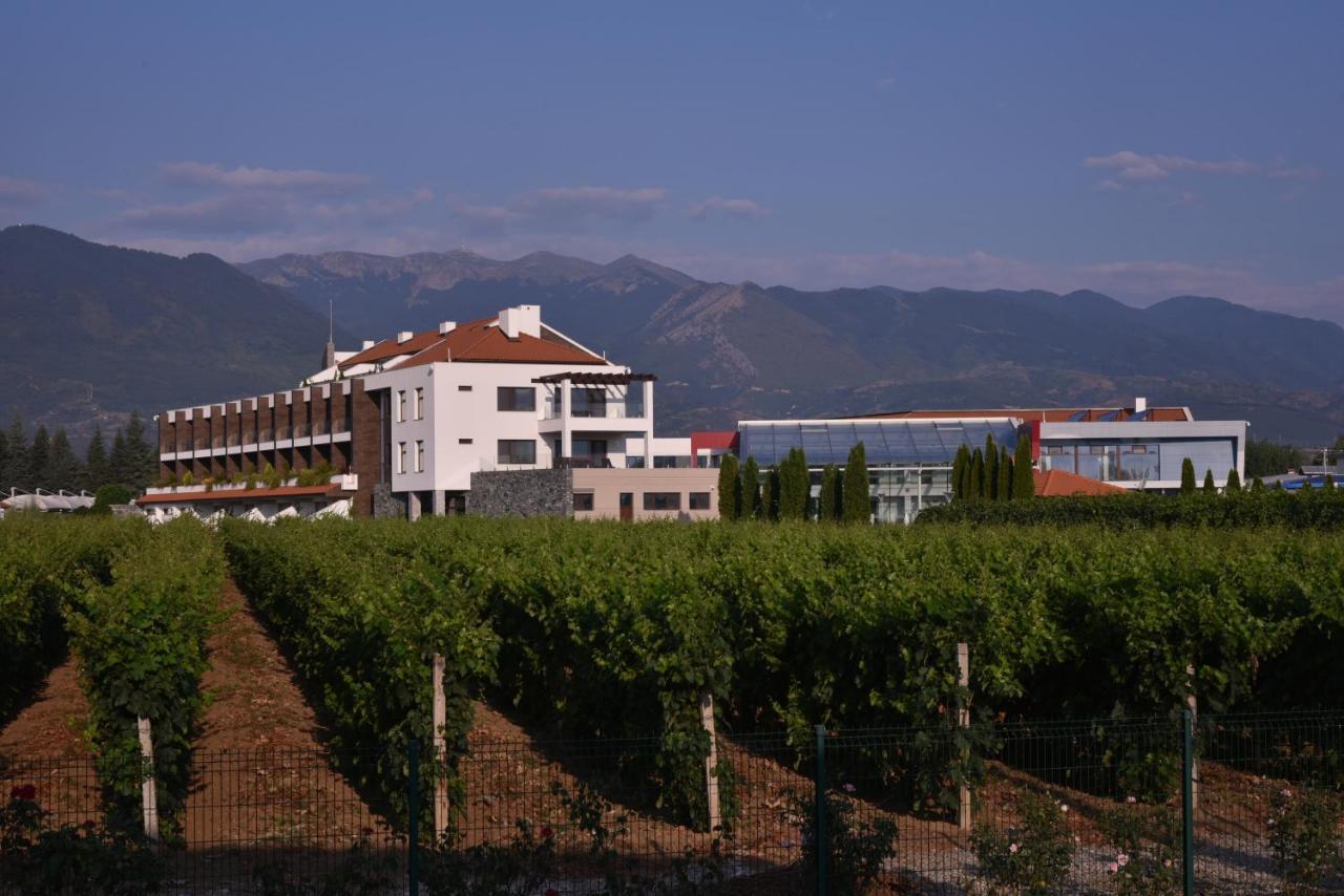 Uva Nestum Wine & Spa Гоце-Делчев Экстерьер фото